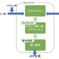 画像264