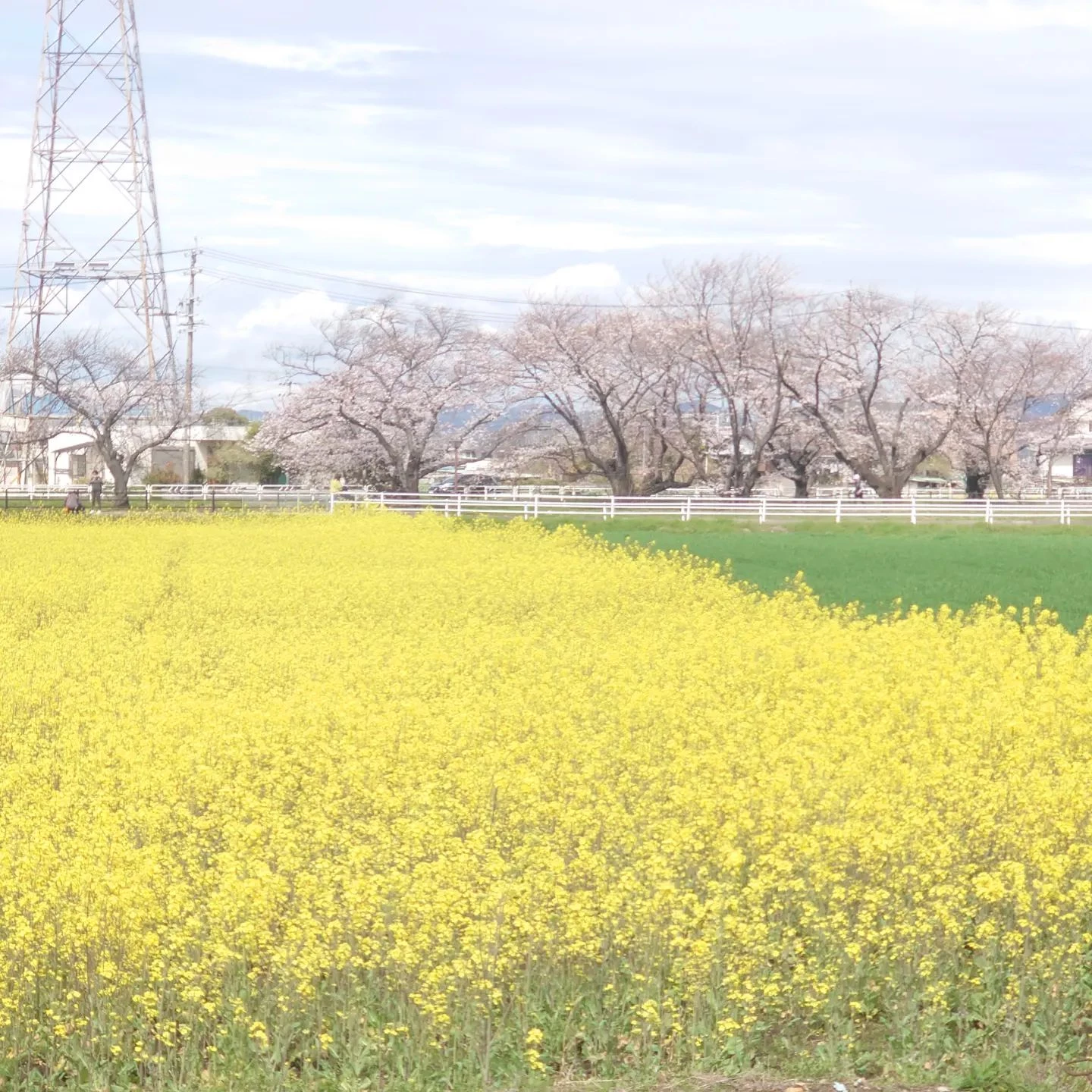画像310